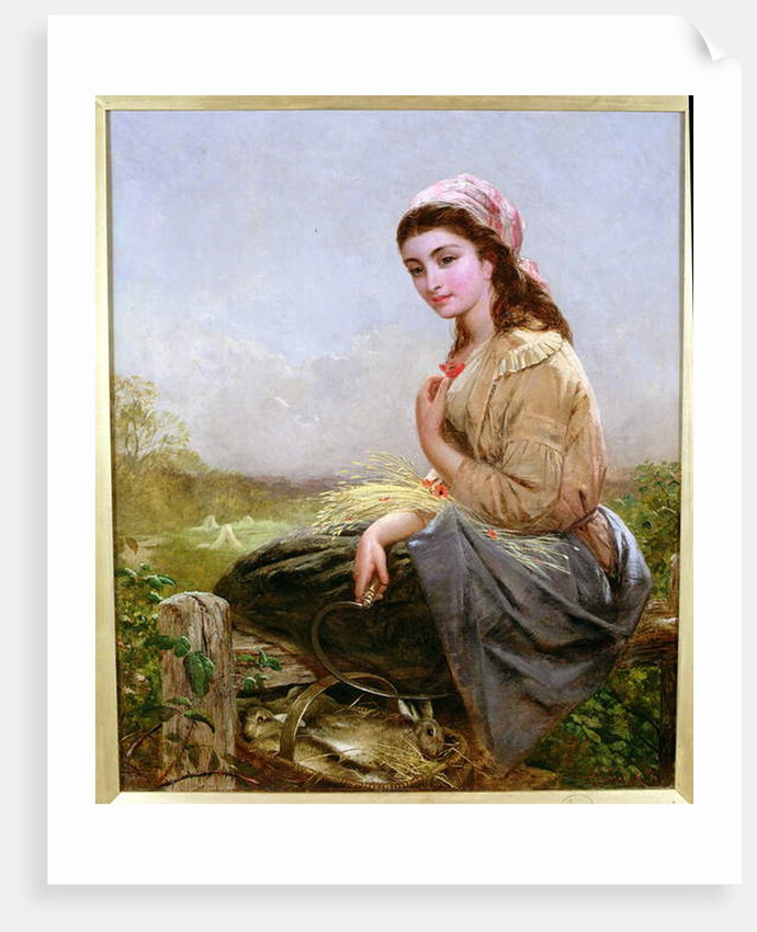 The Harvester by Edward John Cobbett