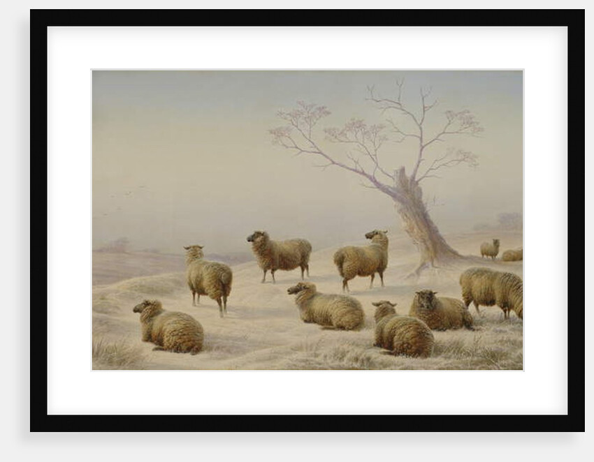 Sheep in Snow, 1880 by Charles Jones