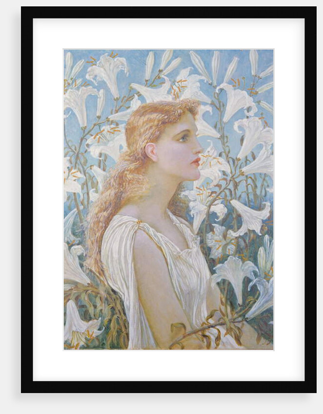 Lilies, 1893 by Walter Crane