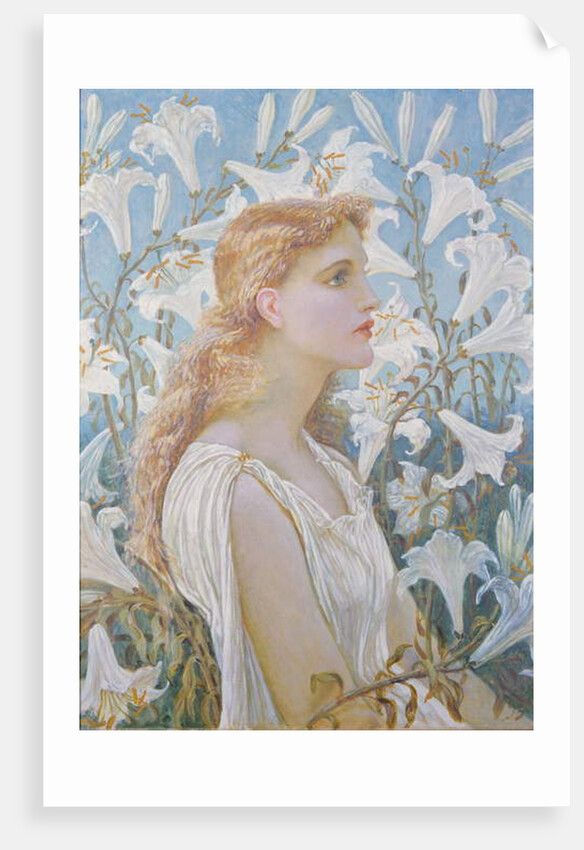 Lilies, 1893 by Walter Crane