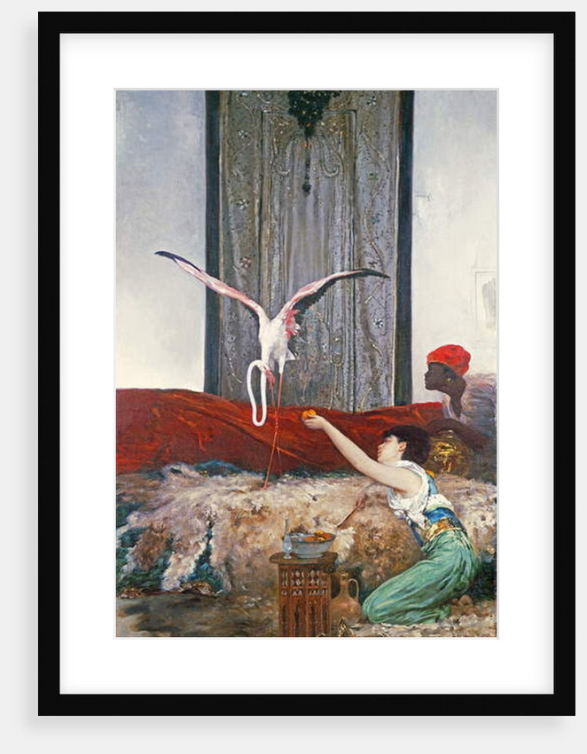 The Pet Flamingo by Georges Clairin