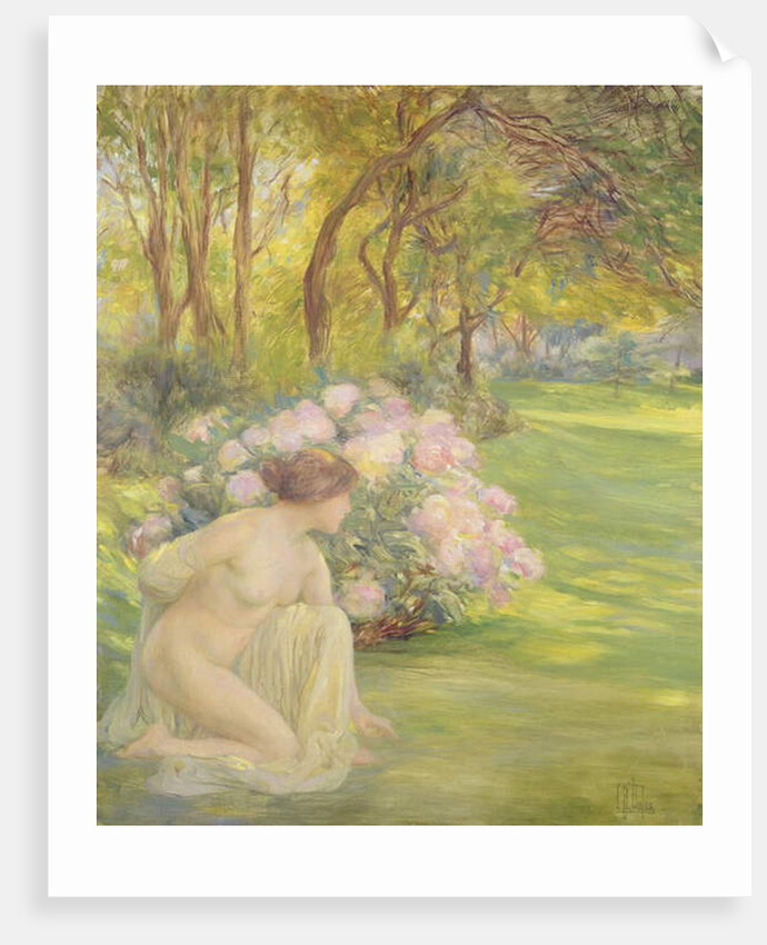 Flora by Clementine-Helene Dufau