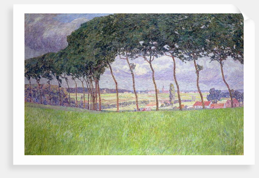 Landscape by Modest Huys