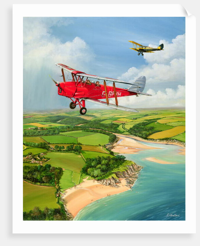 Mothecombe Moths, 1999 by Richard Wheatland