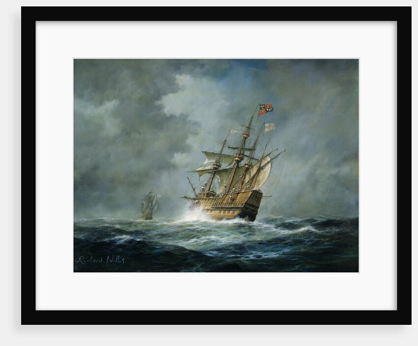 Mary Rose by Richard Willis