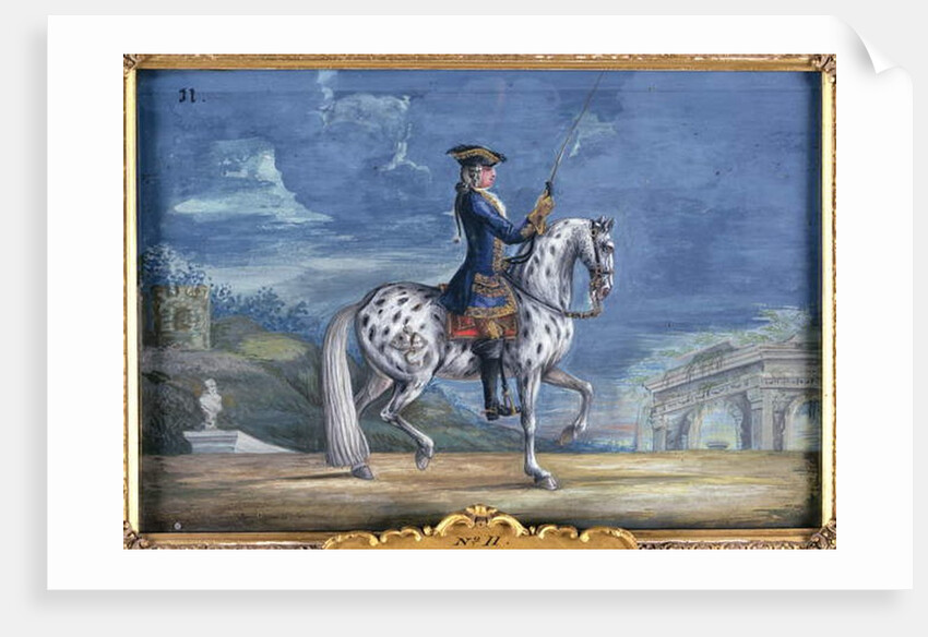 No. 11 An appaloosa horse of the Spanish Riding School by Baron Reis d' Eisenberg