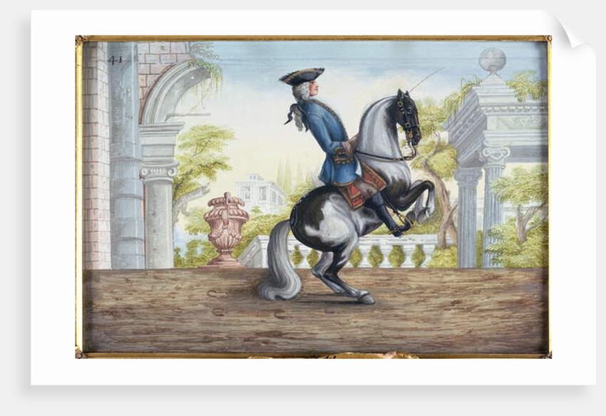 No. 41 A skewbald horse of the Spanish Riding School performing the 'Pesade' by Baron Reis d' Eisenberg