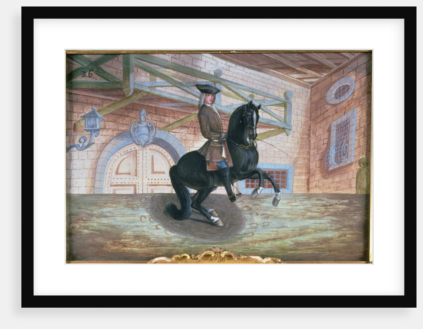 No. 36 A brown bay horse of the Spanish Riding School performing a pirouette near the ground by Baron Reis d' Eisenberg