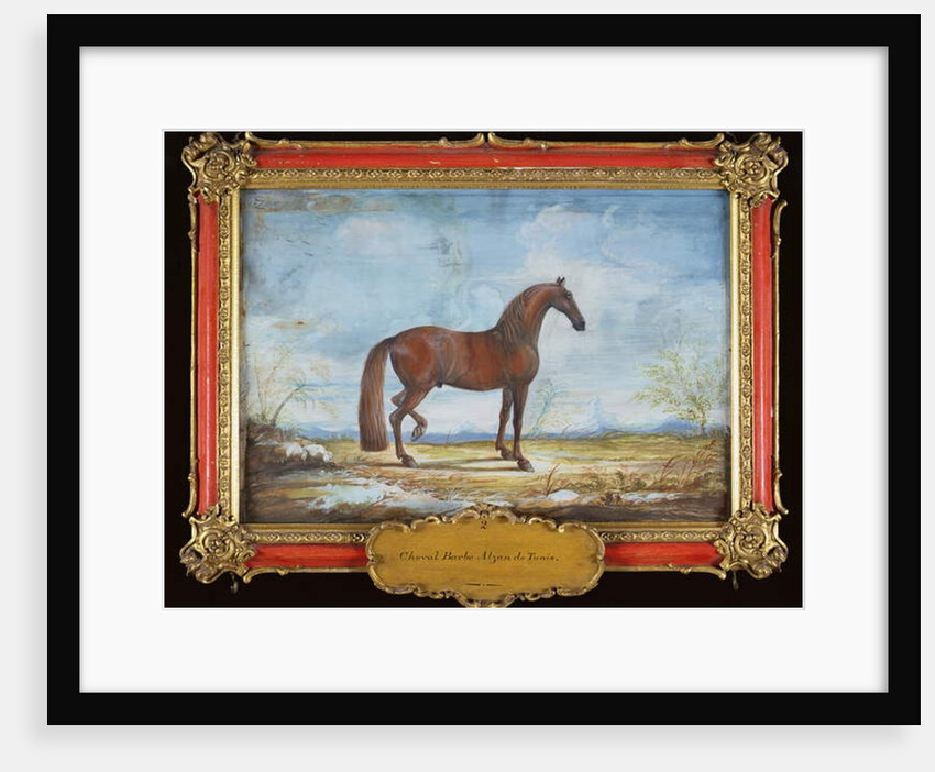No. 2 'Alzan de Tunis', a Barbary horse of the Spanish Riding School by Baron Reis d' Eisenberg