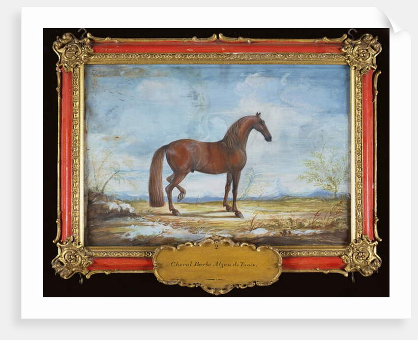 No. 2 'Alzan de Tunis', a Barbary horse of the Spanish Riding School by Baron Reis d' Eisenberg