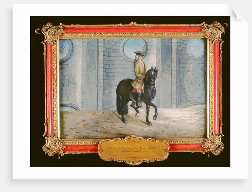 No. 17 A dark bay horse of the Spanish Riding School performing a 'shoulder-in' dressage step by Baron Reis d' Eisenberg