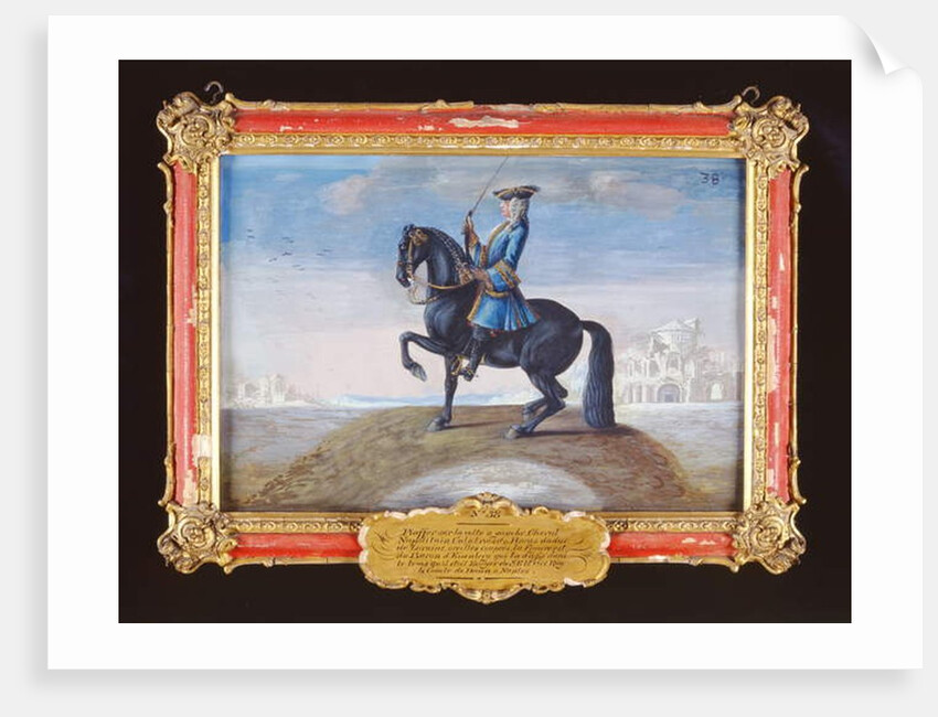 No. 38 A Neapolitan Calabrian horse of the Spanish Riding School performing a dressage movement called the 'Piaffe' by Baron Reis d' Eisenberg