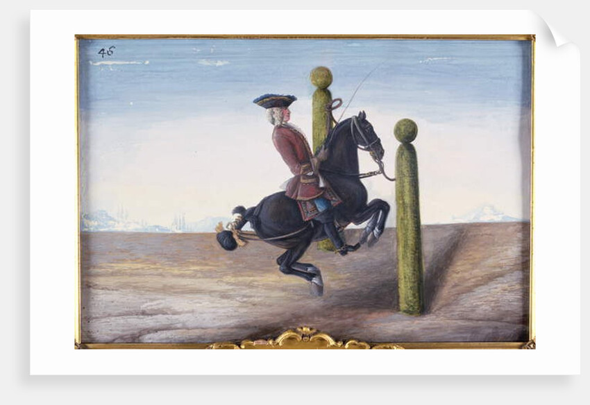 No. 46 A bay horse of the Spanish Riding School performing a dressage movement called the 'Croupade' by Baron Reis d' Eisenberg