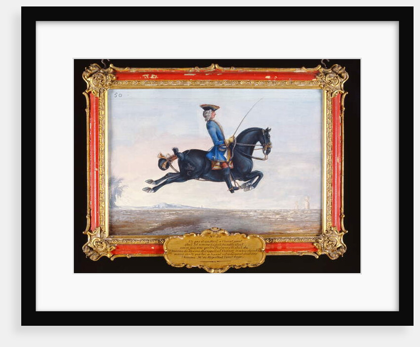 No. 50 A jet black horse called 'Curioso' performing a dressage movement called a 'Capriole' by Baron Reis d' Eisenberg
