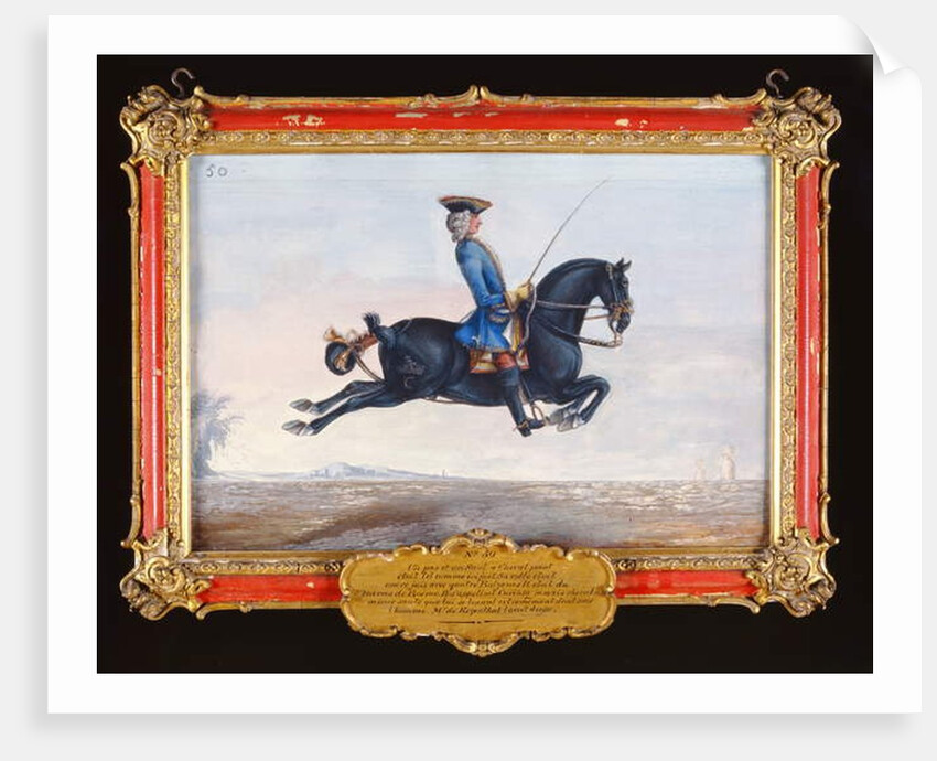 No. 50 A jet black horse called 'Curioso' performing a dressage movement called a 'Capriole' by Baron Reis d' Eisenberg