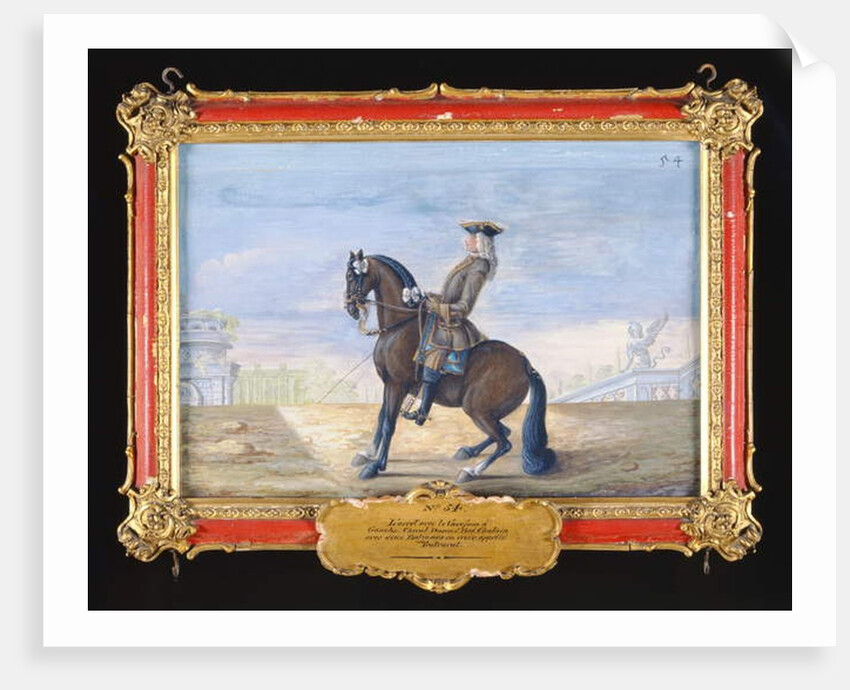 No. 54 A Danish chestnut bay horse of the Spanish Riding School performing a dressage movement by Baron Reis d' Eisenberg