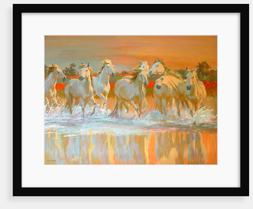 Camargue by William Ireland