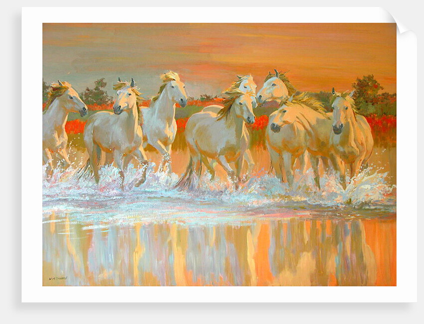 Camargue by William Ireland