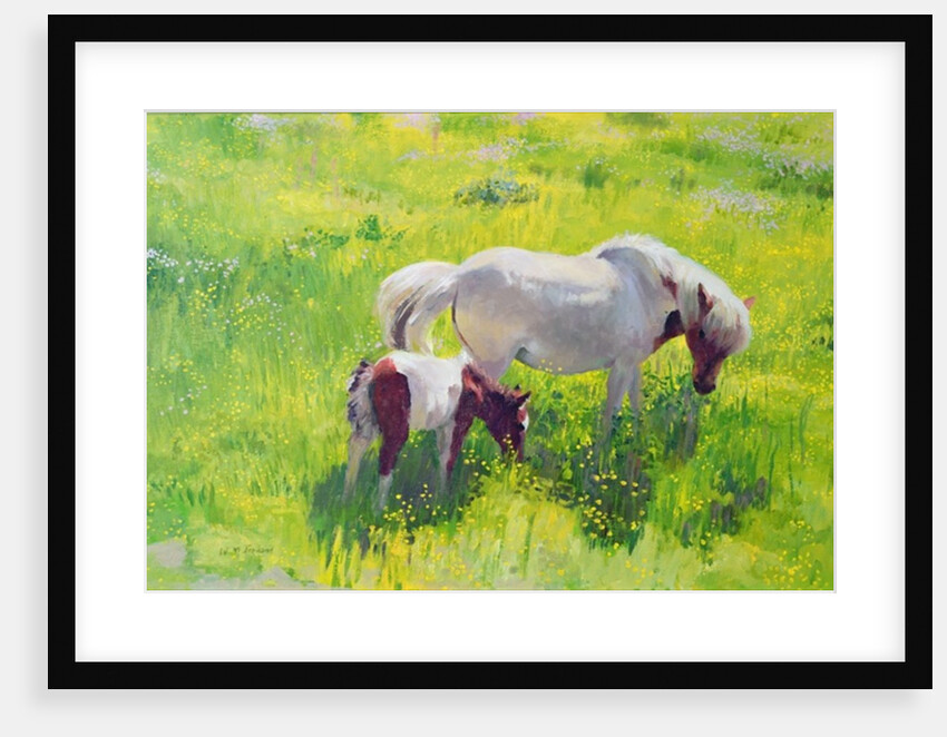 Piebald horse and foal by William Ireland
