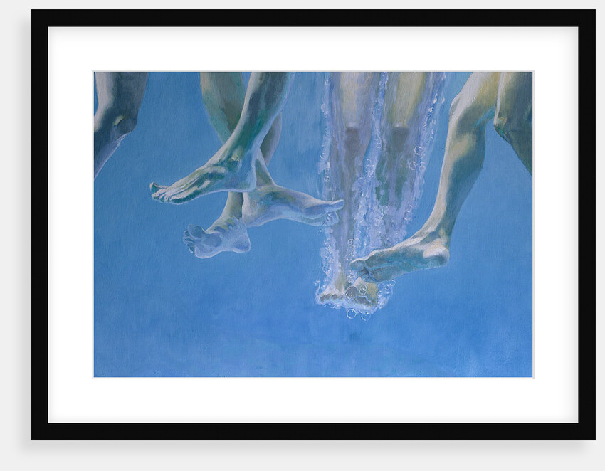 Plunge by William Ireland