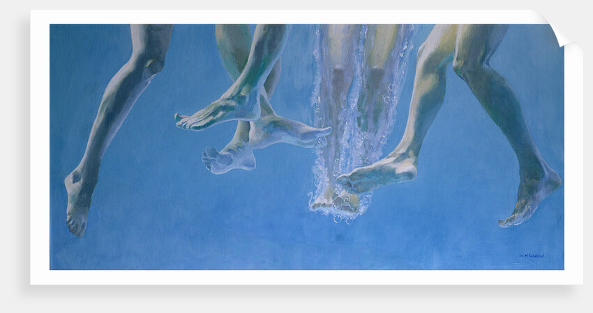 Plunge by William Ireland