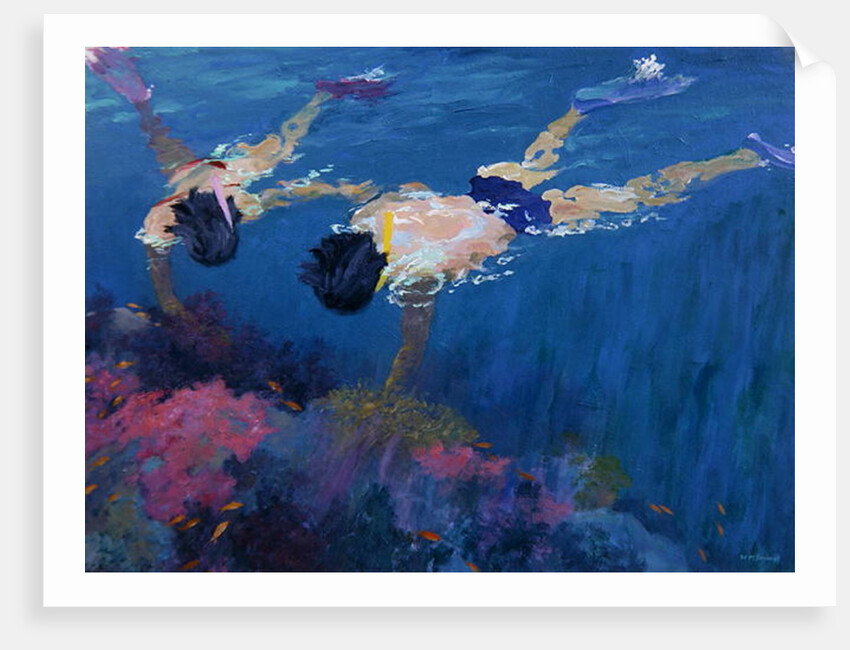 Coral II by William Ireland