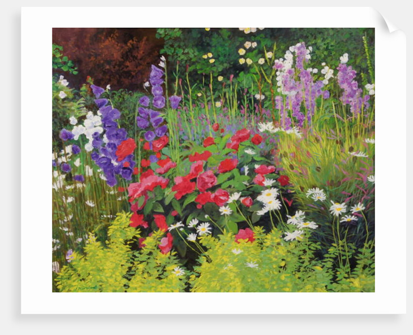 Cottage Garden, 2007/8 by William Ireland