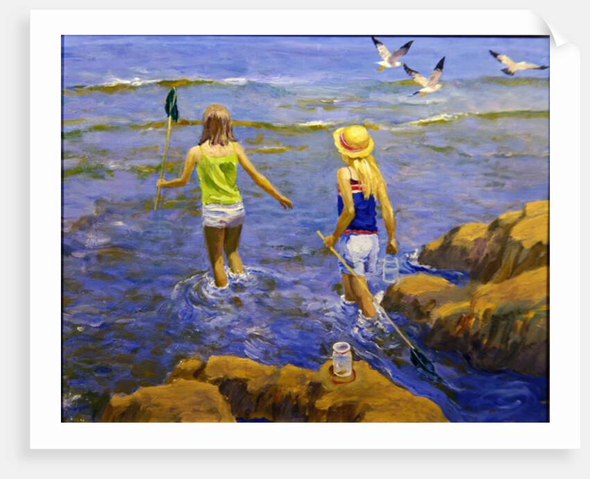 Rock Pool by William Ireland