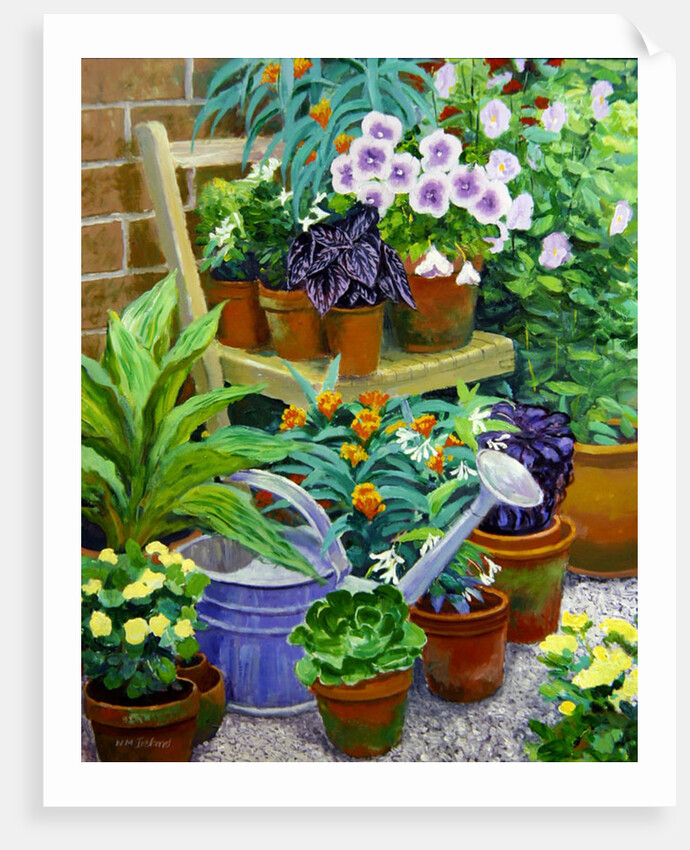 Pots by William Ireland