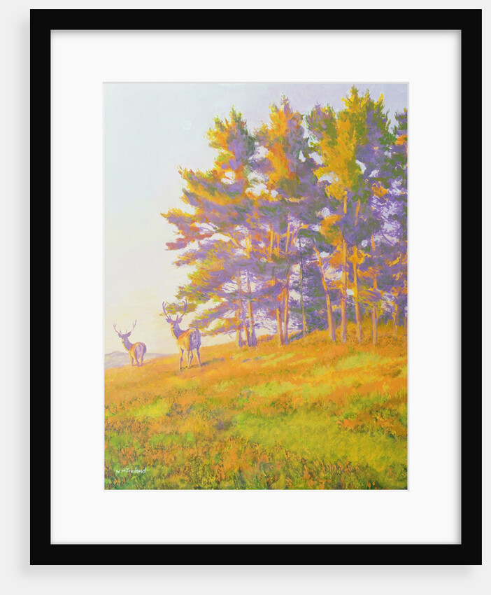 Startled by William Ireland