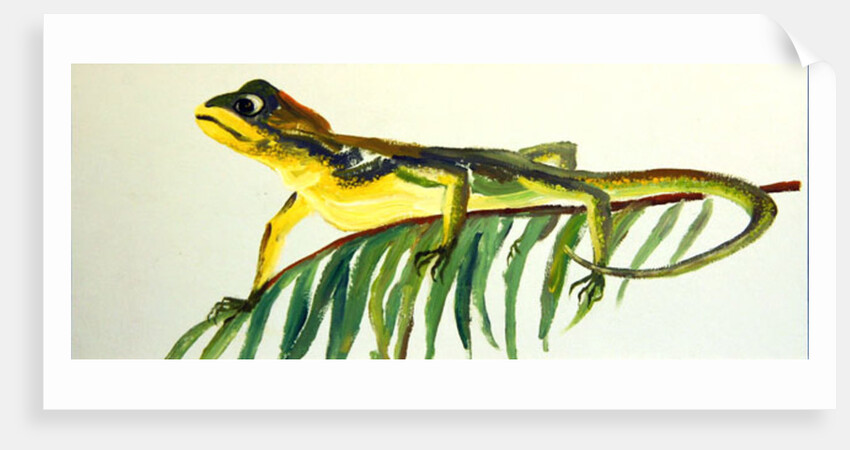 Alight by William Ireland