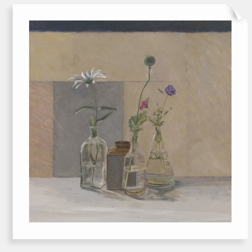 Red White Blue Seed Pods, 2008 by William Packer