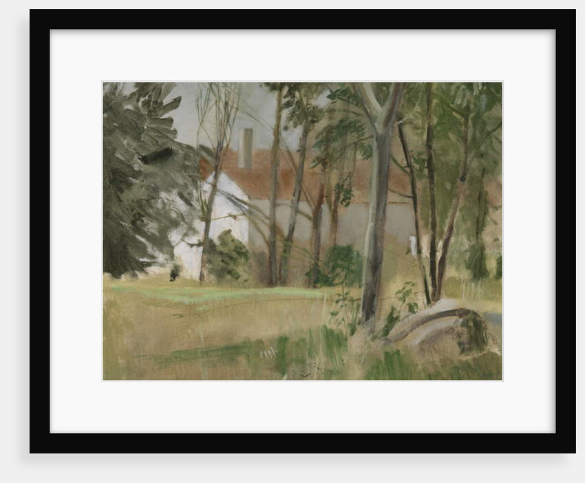 White House, 2009 by William Packer