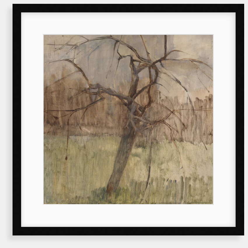 Apple Tree, 1963 by William Packer