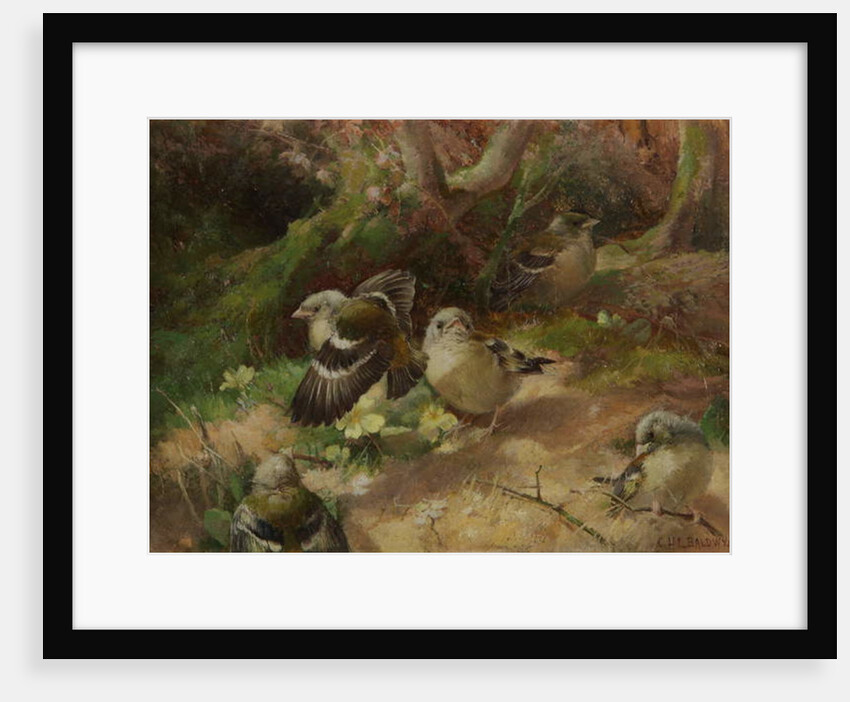 In Happy Woodland by Charles Henry Clifford (attr. to) Baldwyn