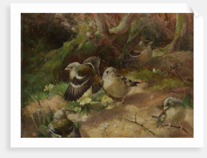 In Happy Woodland by Charles Henry Clifford (attr. to) Baldwyn