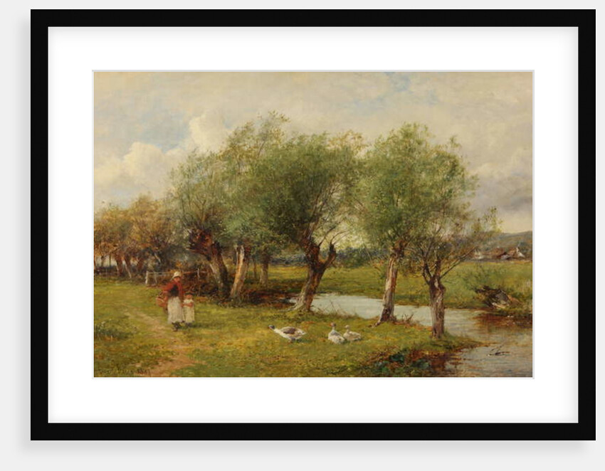 Feeding the Geese by David Bates