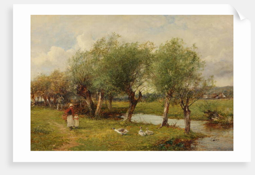 Feeding the Geese by David Bates