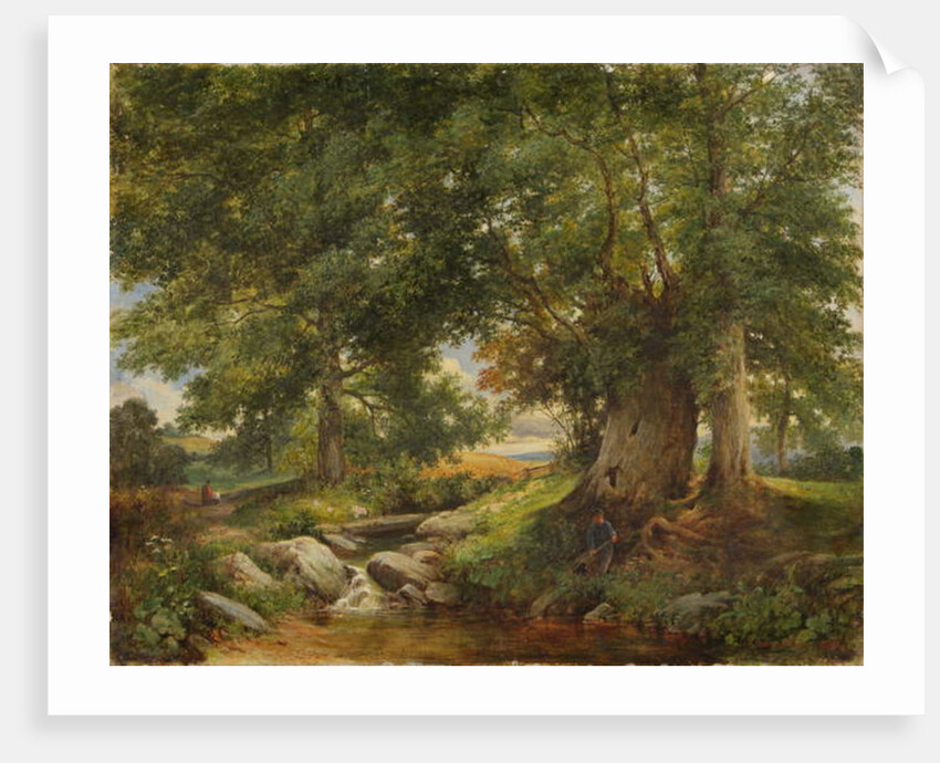 A Trout Stream near Worcester, 1866 by Henry Chaplin