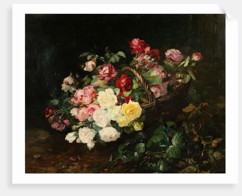 Roses by Dominique Herbert Rozier