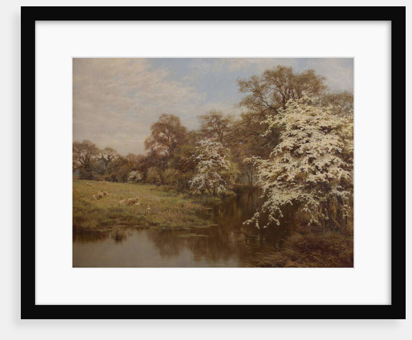Hawthorn Blossom by Edward Wilkins Waite