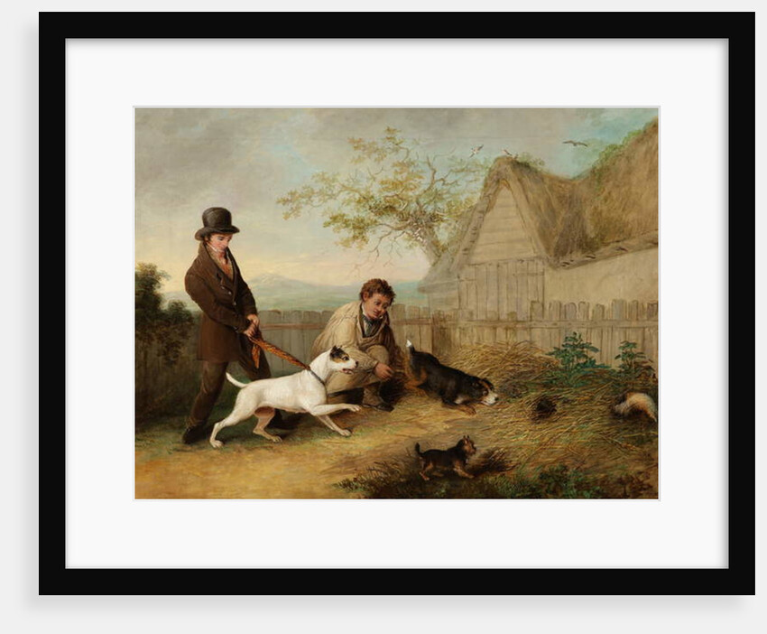 Rat Catching by Thomas Woodward