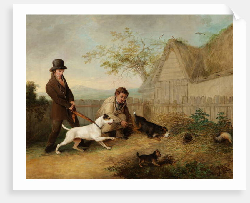 Rat Catching by Thomas Woodward