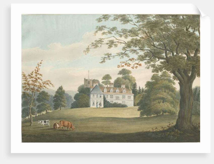 Arley Hall by Robert Noyes