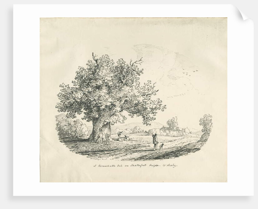 Arley - Shatterfort Height by Thomas Peploe Wood