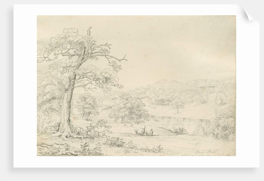 [Great] Barr Hall: pen drawing, nd [1799-1854] by John Allport