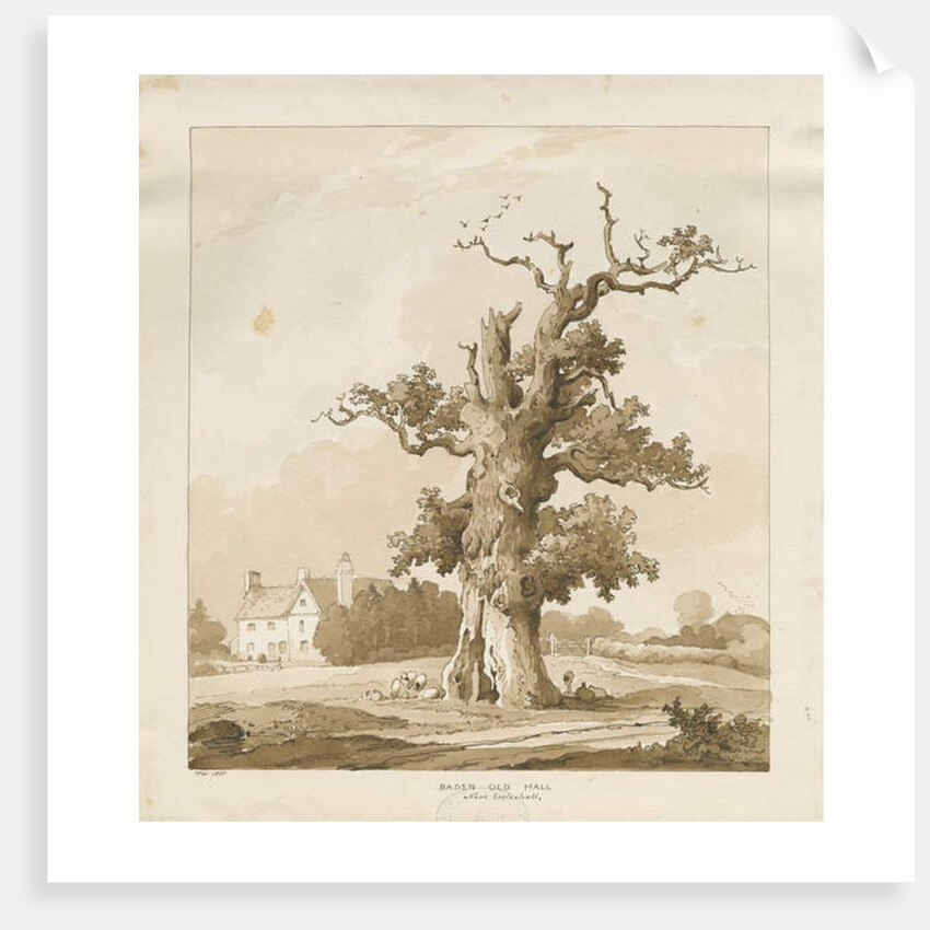 Eccleshall - Baden Old Hall by Thomas Peploe Wood
