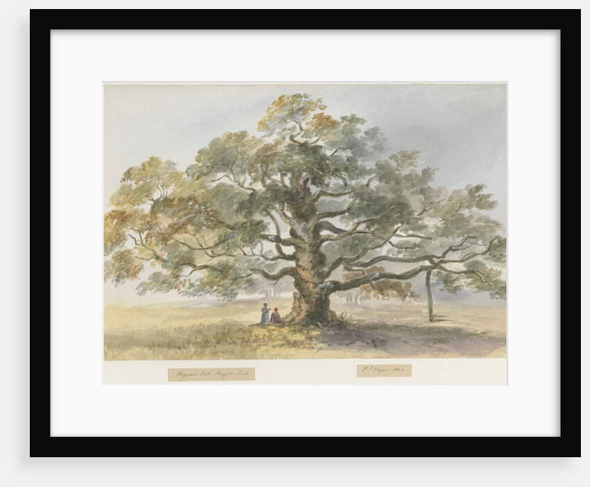 Blithfield - Beggar's Oak by Henry James Noyes