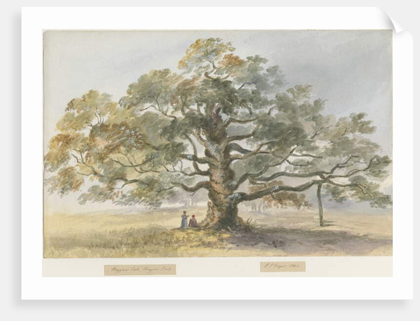 Blithfield - Beggar's Oak by Henry James Noyes