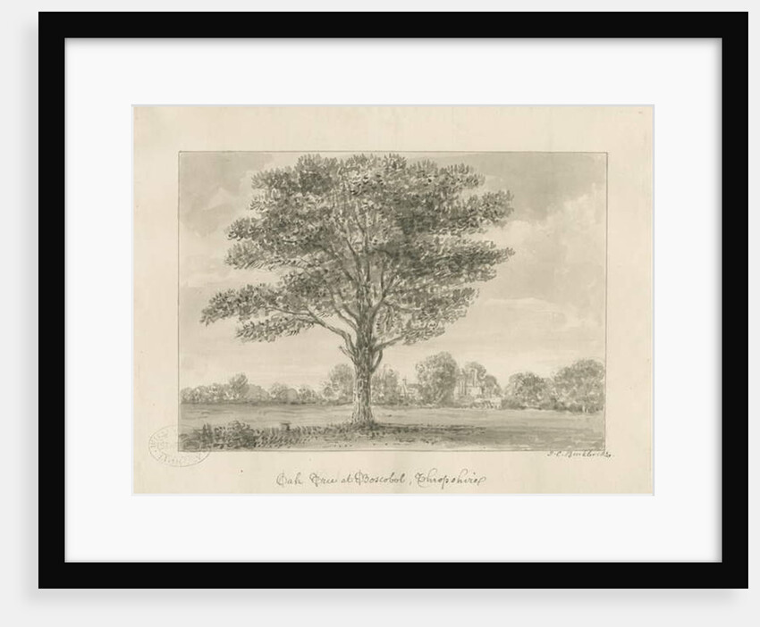 Boscobel - The Royal Oak by John Chessell Buckler